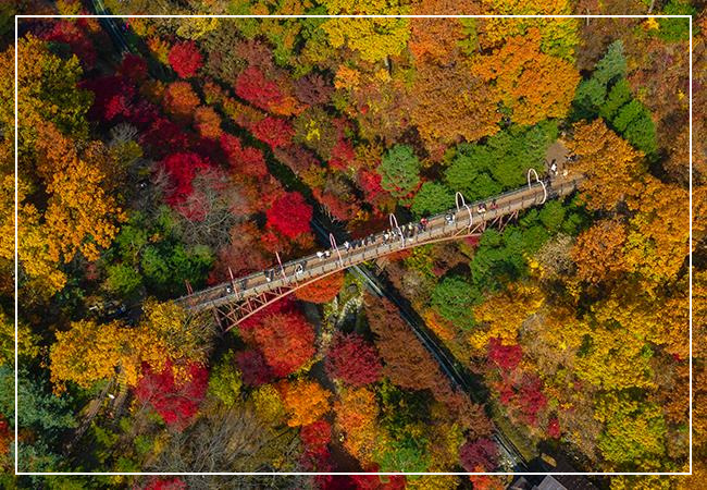 화담숲 이미지 /출처: 화담숲 홈페이지