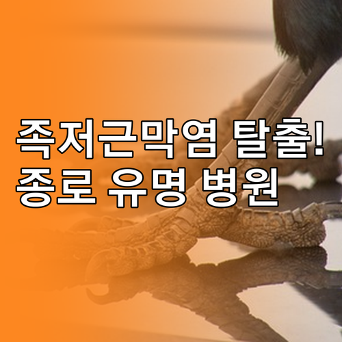 발바닥 통증 족저근막염 종로구 유명 ..