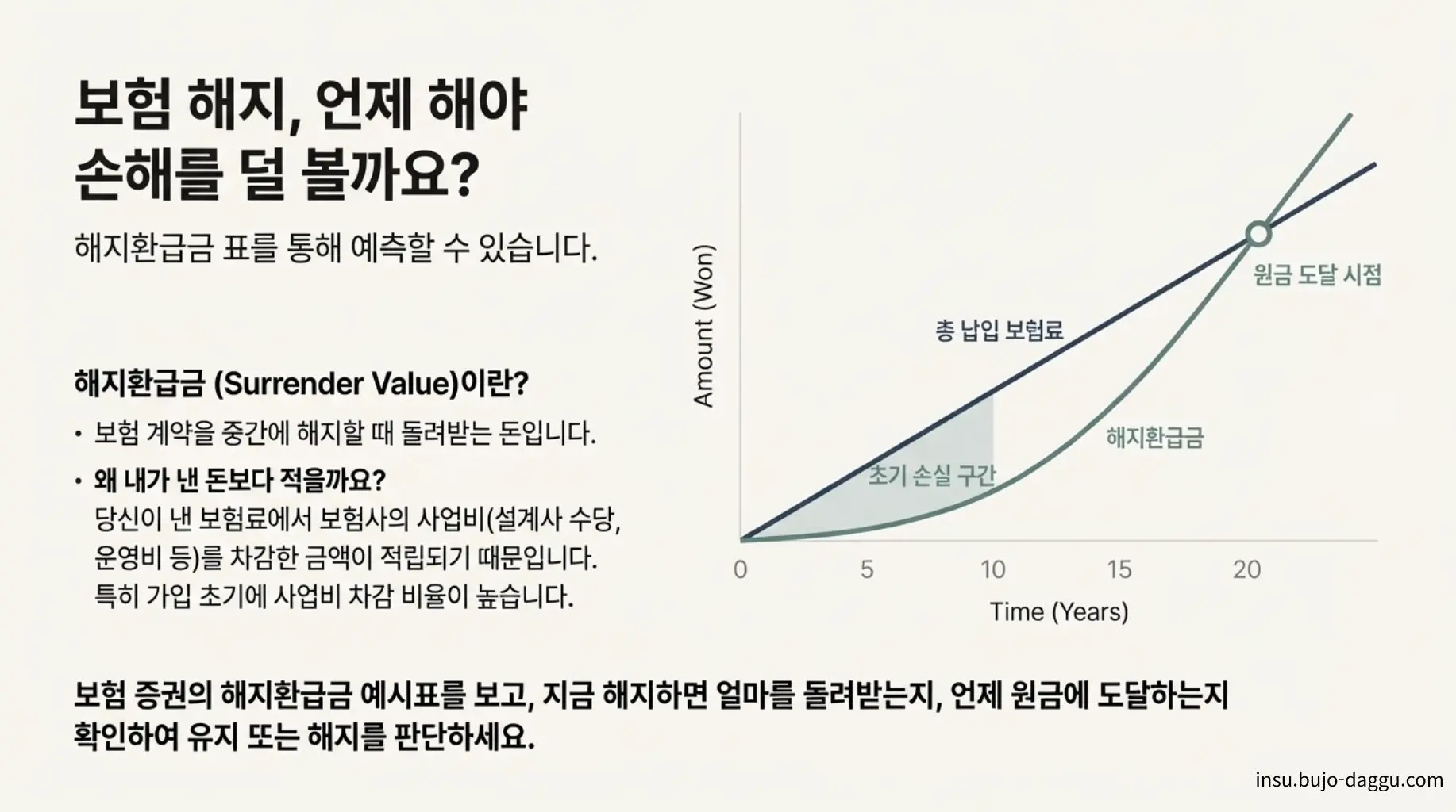 보험 증권 보는 법｜항목별로 쉽게 읽는 방법