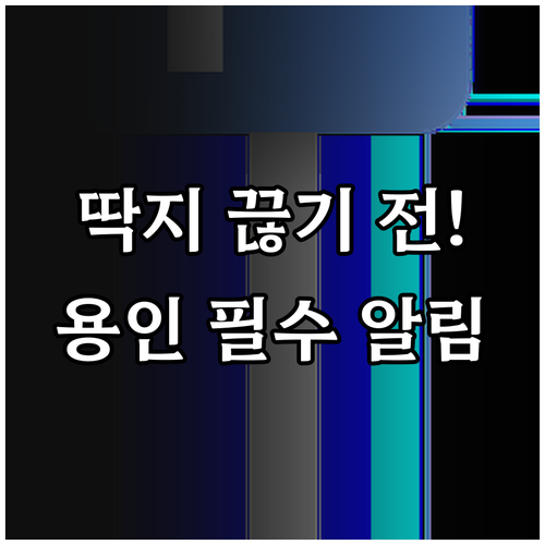 용인시 주정차 단속 문자 알림 서비스..