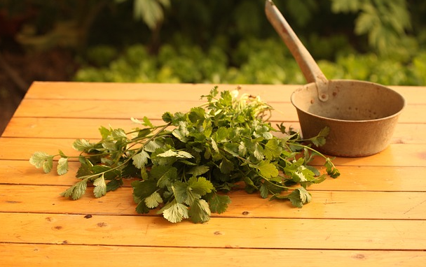 고대 아메리카 원주민들의 화상 치료법과 현대 피부과에서의 적용