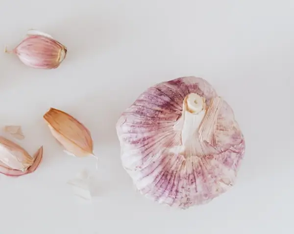 독감에 좋은 음식 녹차와 마늘