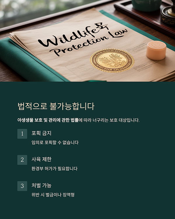 야생생물 보호법에 따른 규제