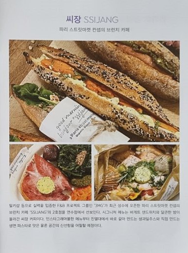 홍보책자 씨장