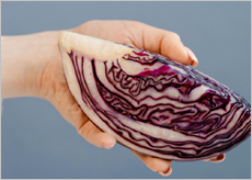 연근, 감잎, 양배추 이미지