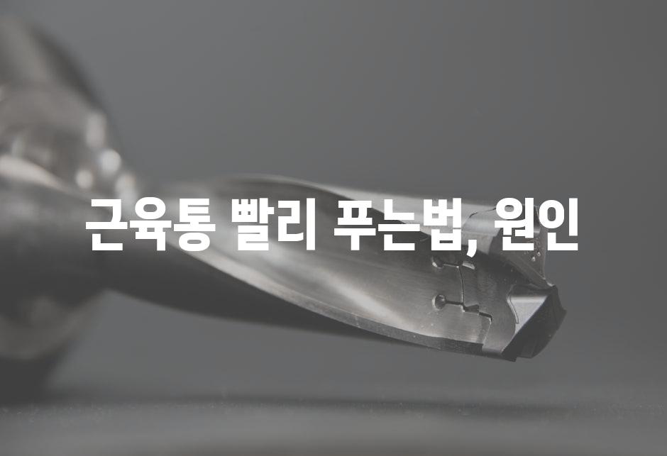 샘플 (57)