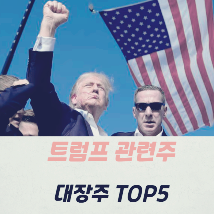 국내 트럼프 관련주 주식 TOP5