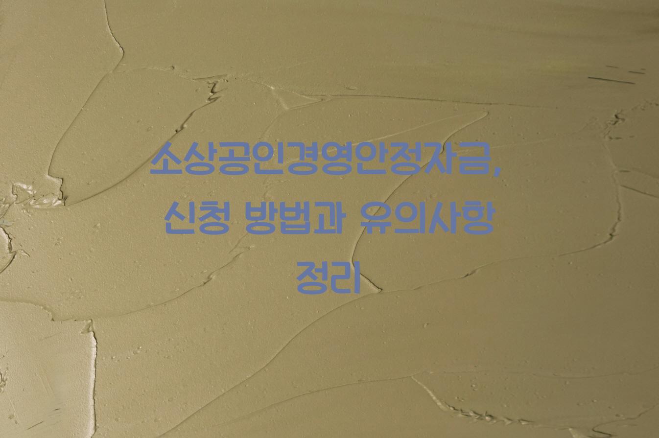 소상공인경영안정자금