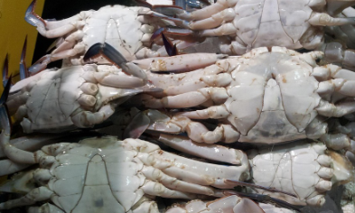 간장게장 황금 레시피