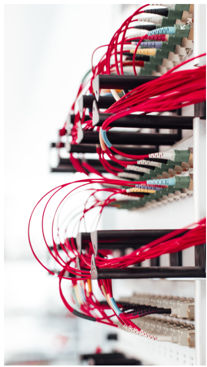 KT 세이프가드 요금, 혜택, 해지 방법까지 한눈에 보기