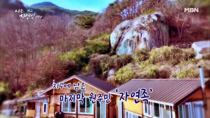 나는 자연인이다 티베트 스타일 옥순봉 고추장 피자 해처럼 바람처럼 자연인 이가영 소개 및 이승윤 출연 542회 다시보기