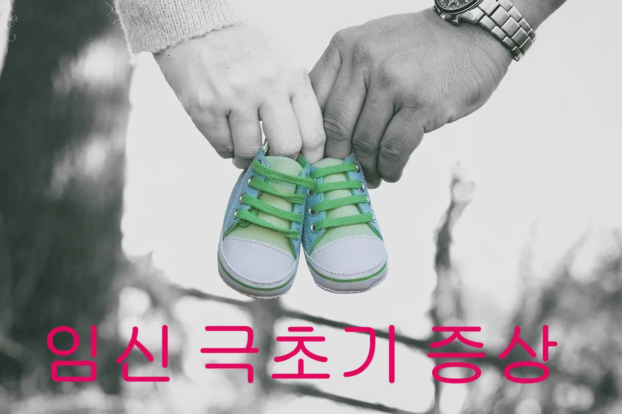 임신-극초기증상