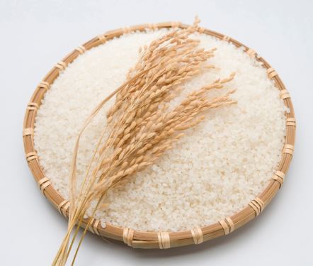 카무트-효소