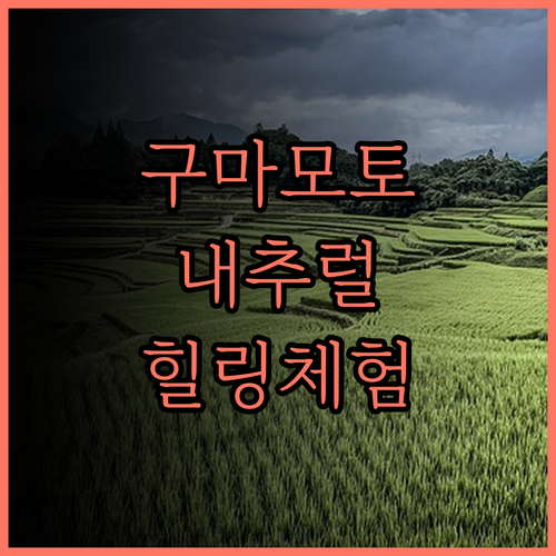 도미 인 구마모토 내추럴 핫 스프링에