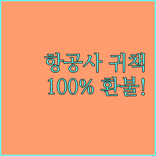 항공사 귀책사유 발생 시 수수료 없이..