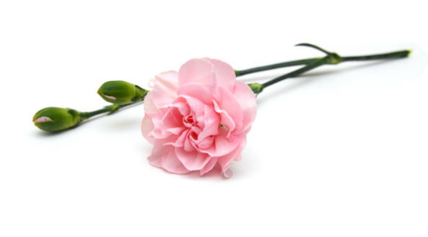 meaningful small gift