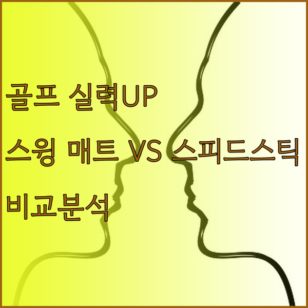 골프 실력 향상의 지름길? 스윙 매트