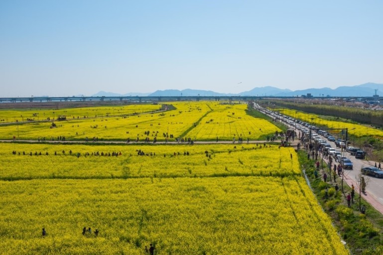 대저생태공원 사진