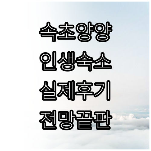 속초 양양 숙소 베스트 5곳 위치부터..