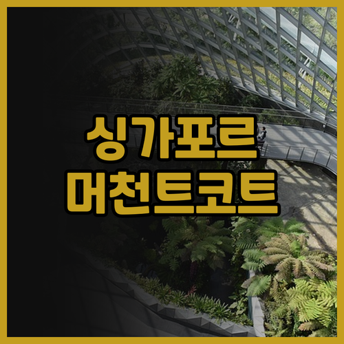 파라독스 싱가포르 머천트 코트 앳 클