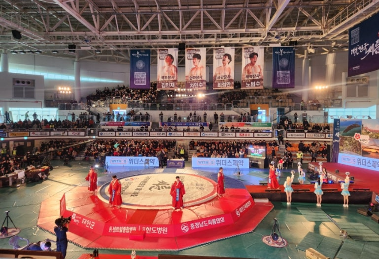 태안 설날장사 씨름대회