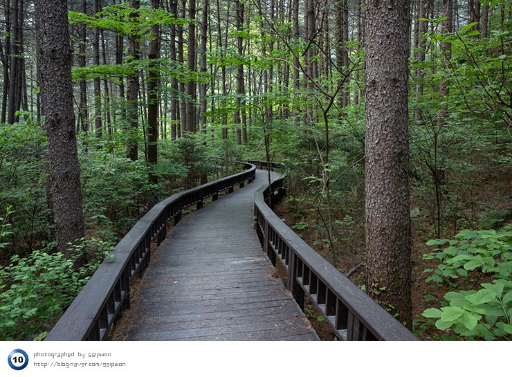 산음 자연휴양림