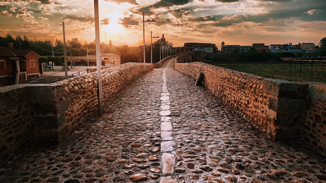 Camino.