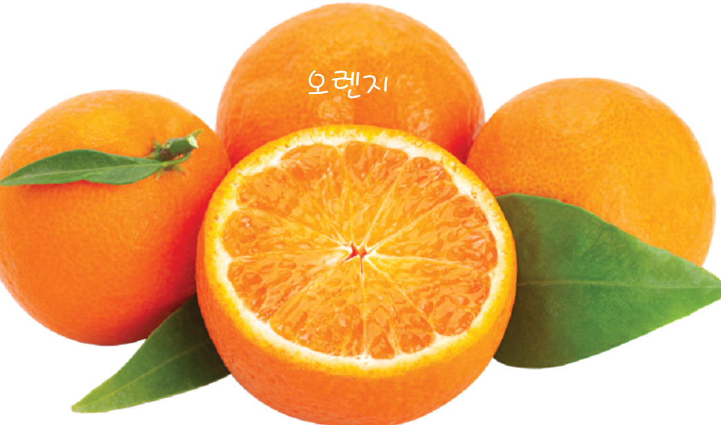 오렌지