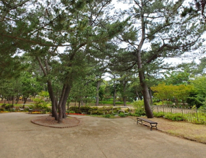 차박하기 좋은 곳