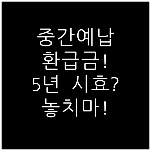 종소세 중간예납 환급금 조회와 5년 ..