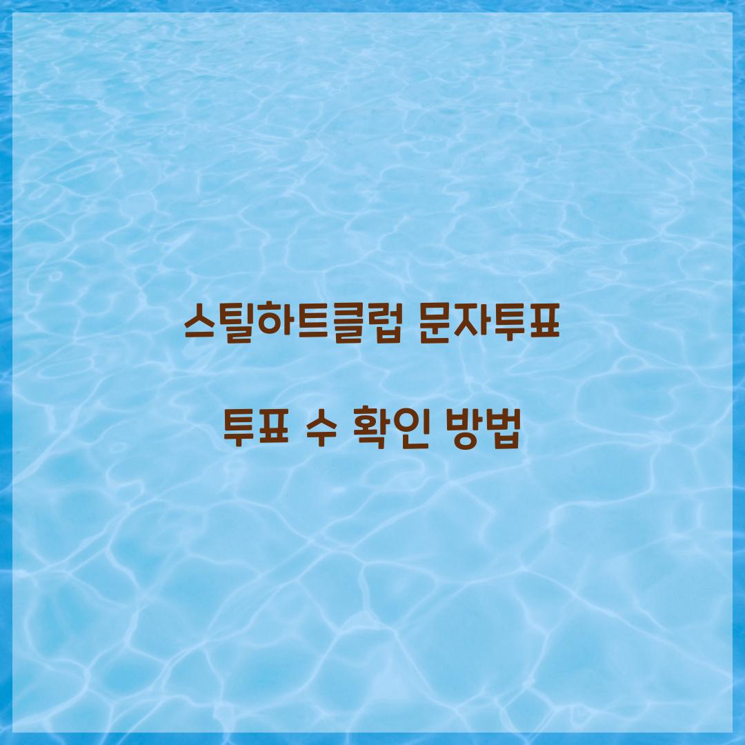 스틸하트클럽 문자투표 투표 수 확인 방법  