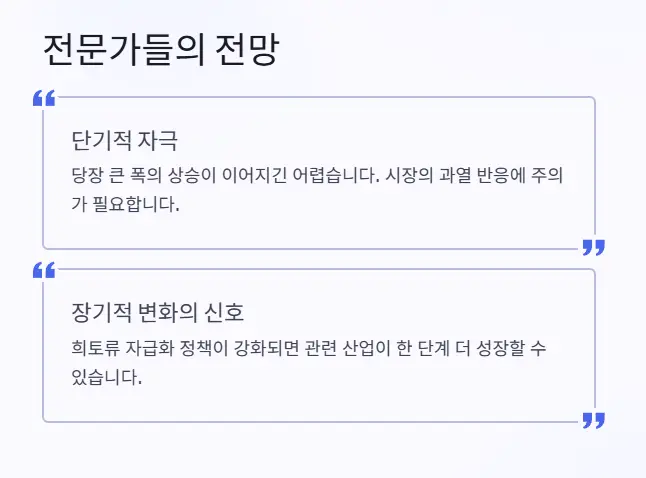 전문가 전망