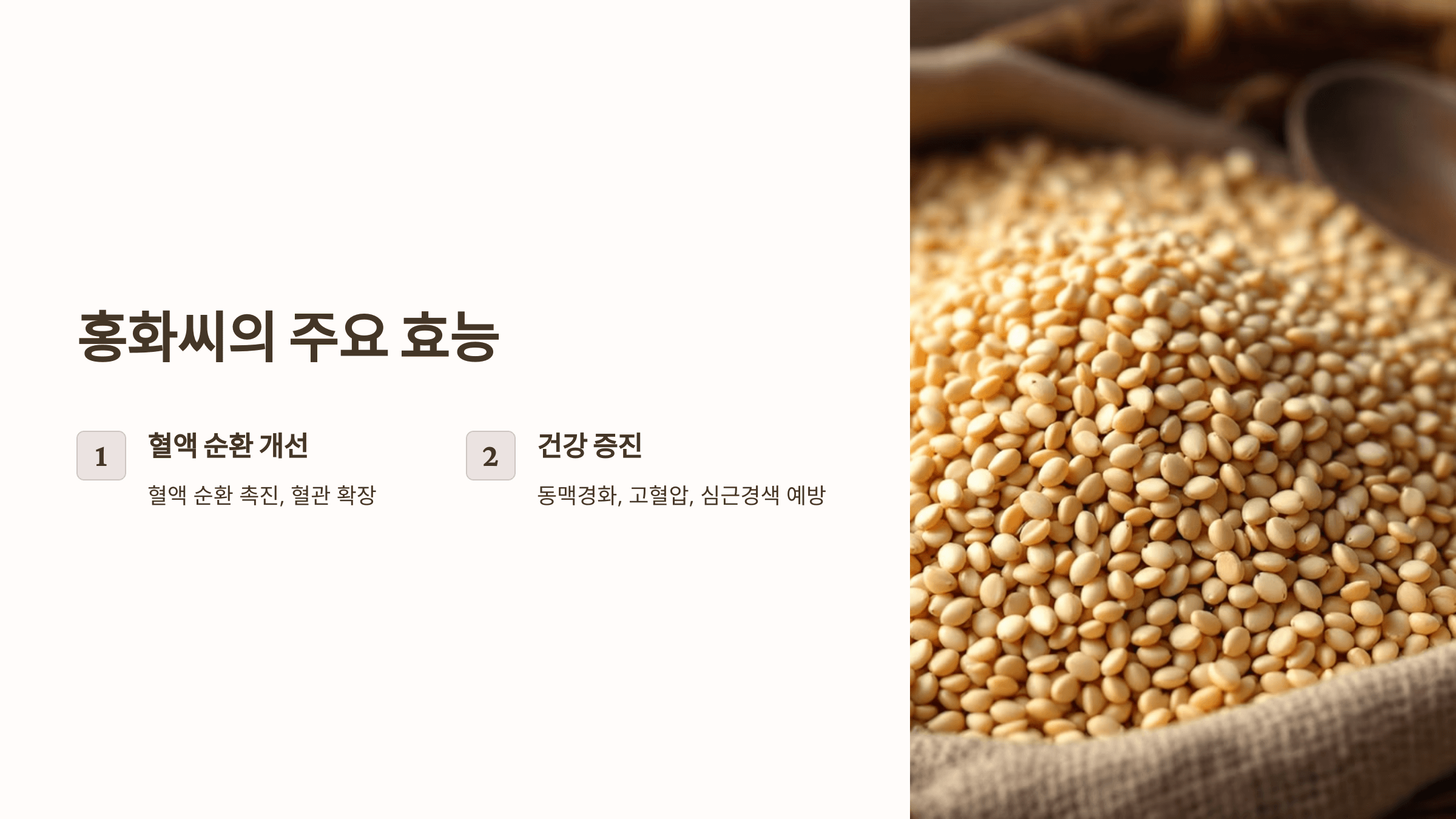 홍화씨 사진입니다.