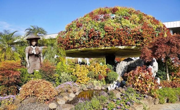 순천만국가정원 단풍 및 즐길거리, 주차, 맛집, 주변명소 사진