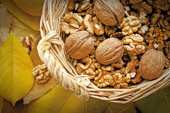 당뇨병에 좋은 음식_견과류