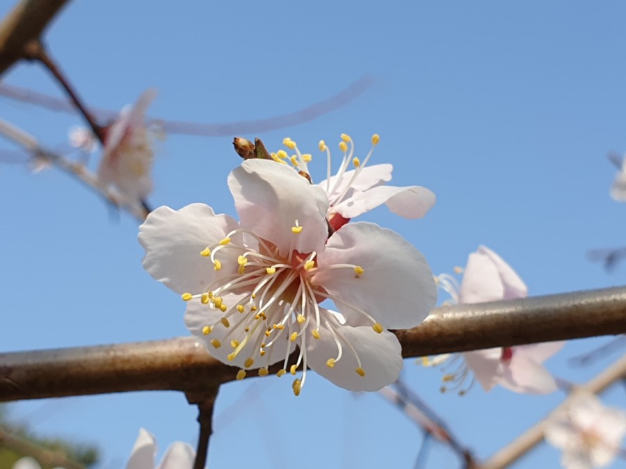 용문사 템플 스테이