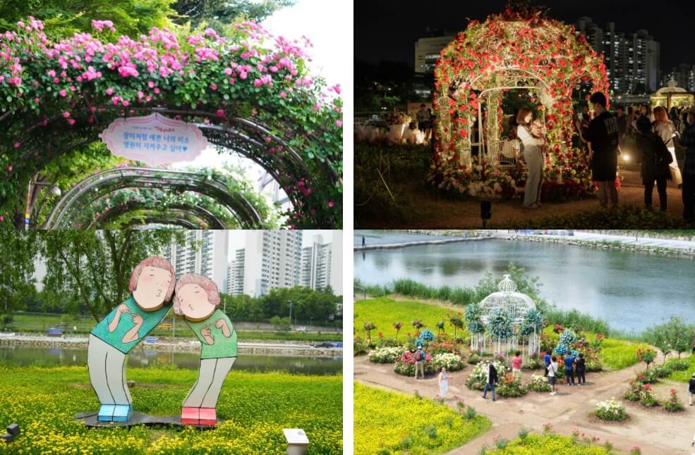 중랑 서울 장미축제