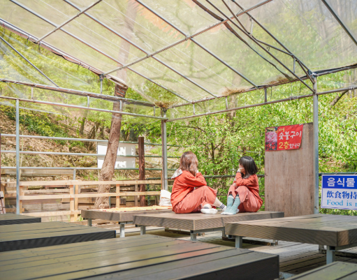 신촌 숲속한방랜드