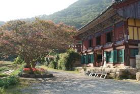 강진 백련사 동백축제 기본일정과 프로그램 소개