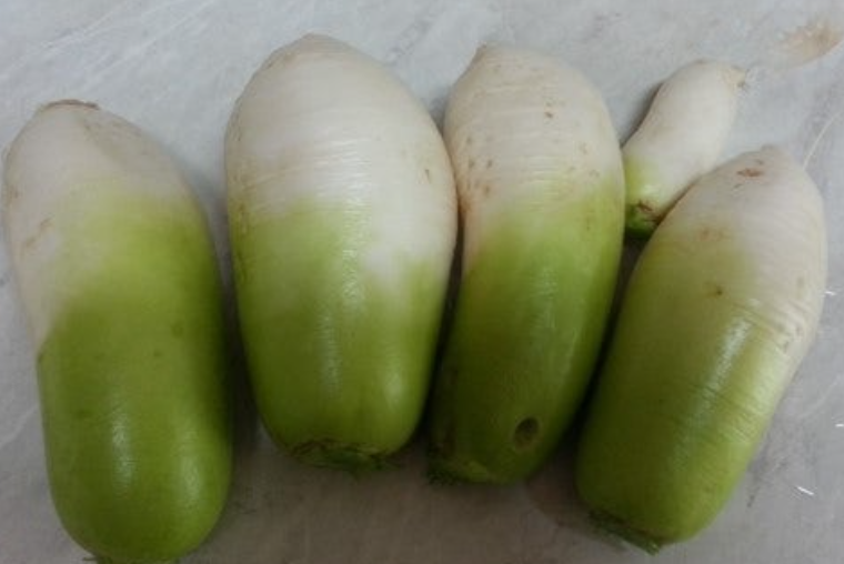 무우(Radish) 문화와 활용 (무우의 건강 효능) 관련 사진
