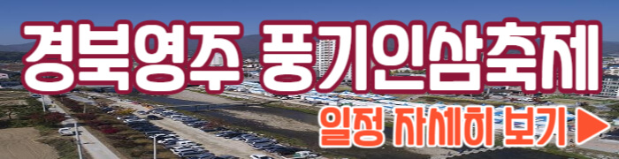 풍기인삼축제 일정