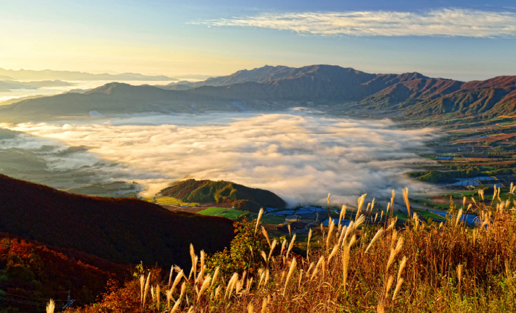DMZ 펀치볼 둘레길