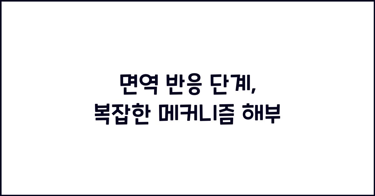 면역 반응 단계