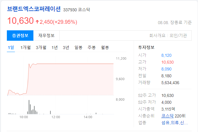 브랜드엑스코퍼레이션-당일-차트-이미지