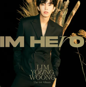 임영웅 콘서트 좌석 시야 만족도 조사 결과