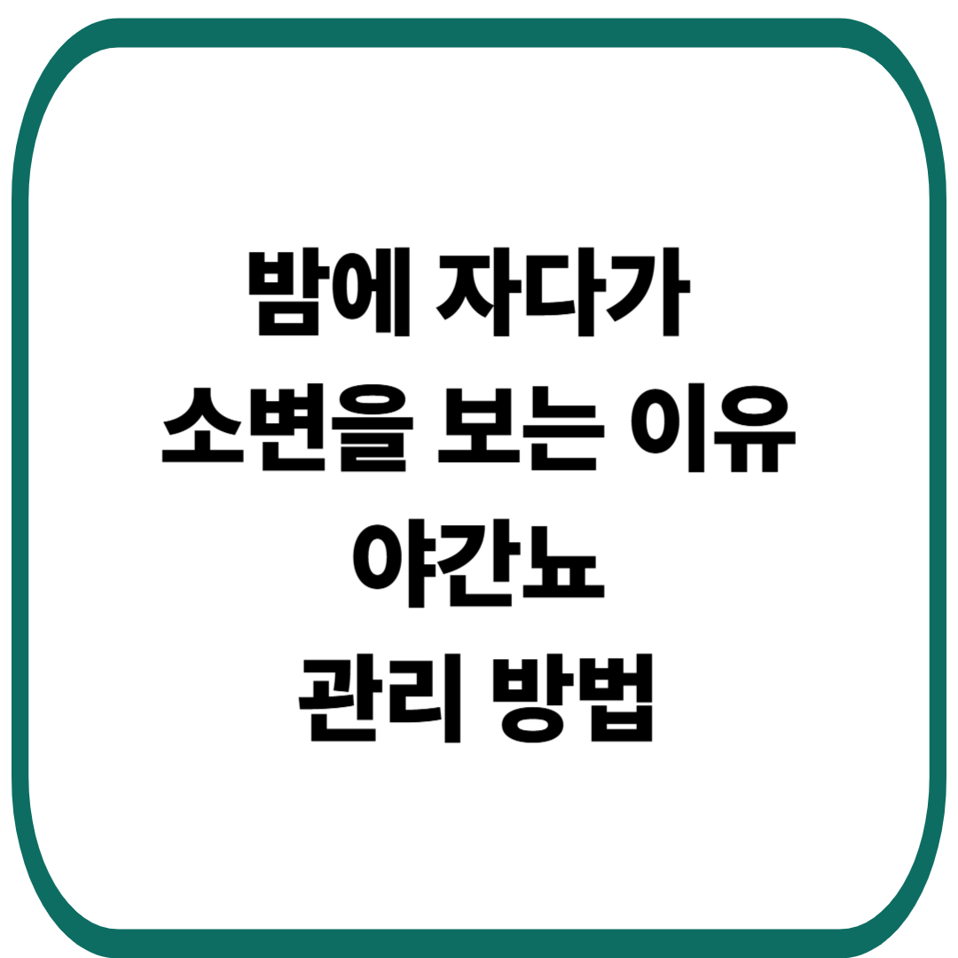 밤에 자다가 소변을 보는 야간뇨 이유와 관리 방법