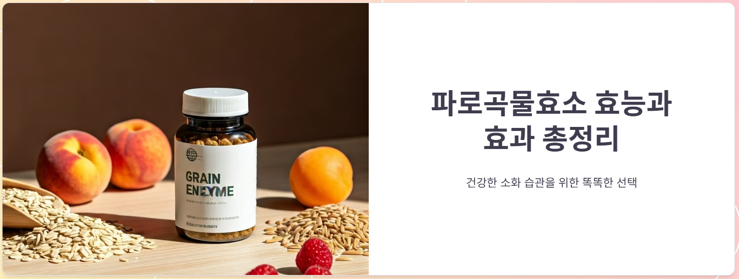 파로곡물효소 효능 효과, 가격, 먹는법, 후기까지 총정리!