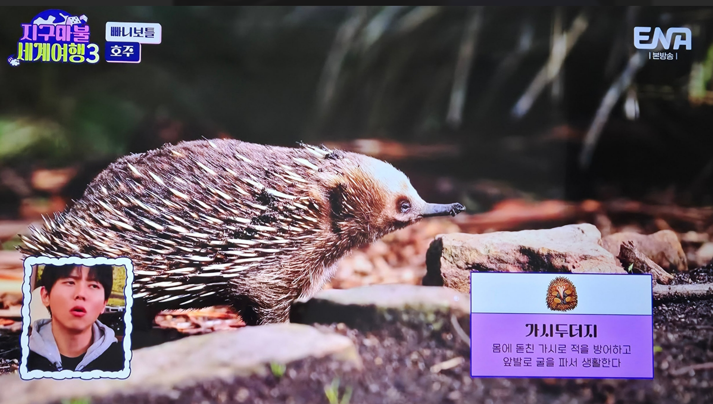 지구마불세계여행3 빠니보틀 - 호주편