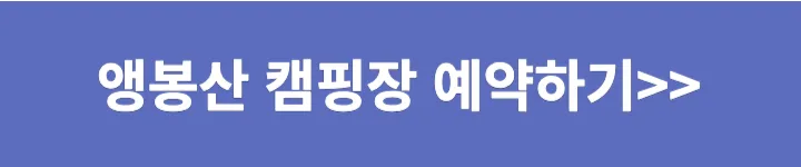 앵봉산 캠핑장 예약하기