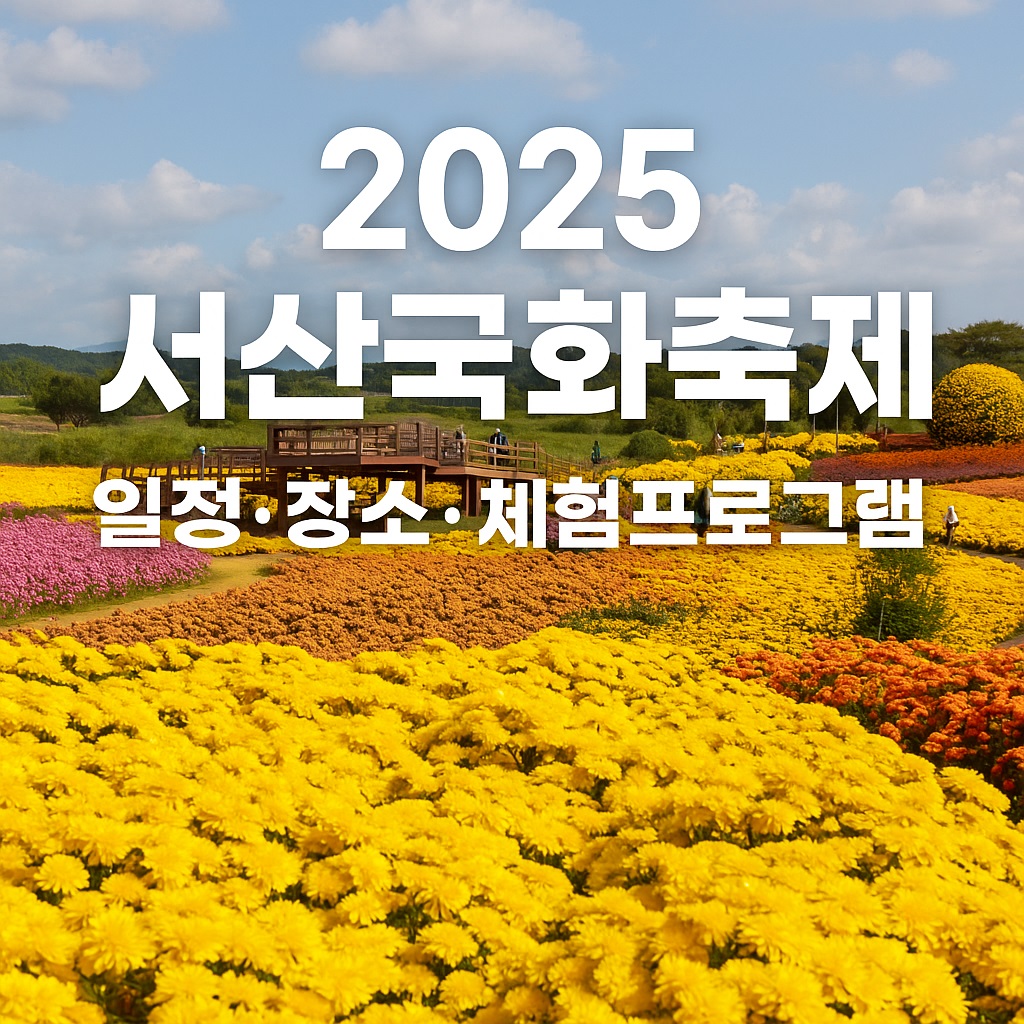 2025 서산국화축제 일정표 초대가수 국화꽃 포토존 풍경